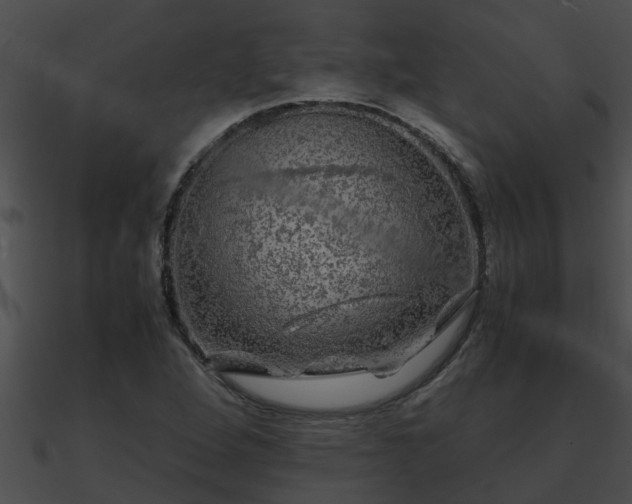 X0000090861264200708030940