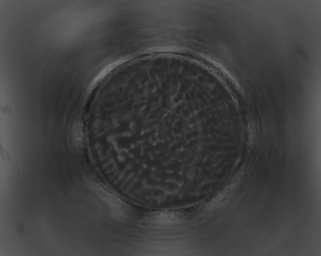 X0000090861266200708030940