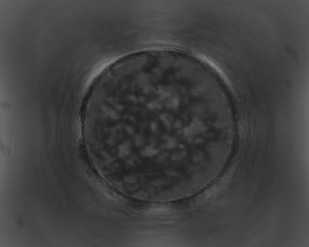 X0000090861267200708030940
