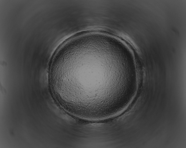X0000090861268200708030940