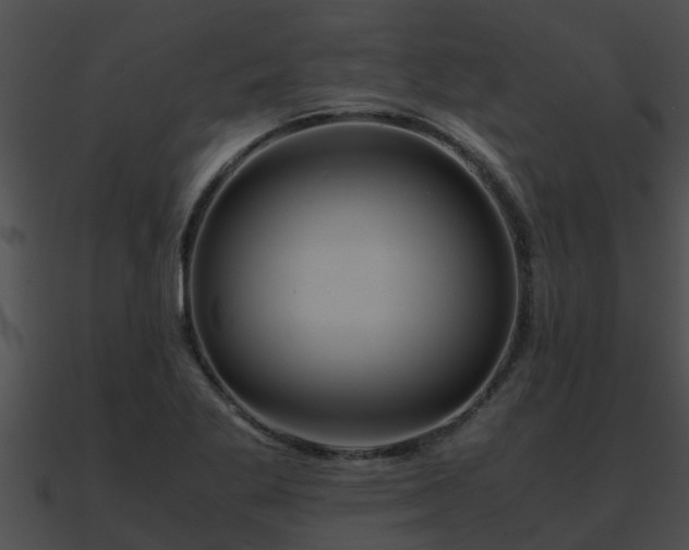 X0000090861269200708030940