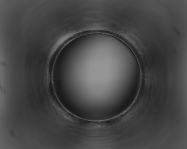 X0000090861270200708030940
