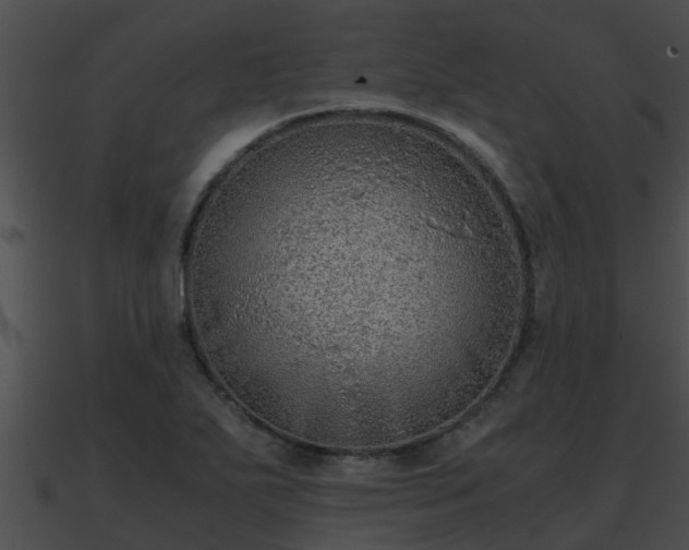 X0000090861271200708030940