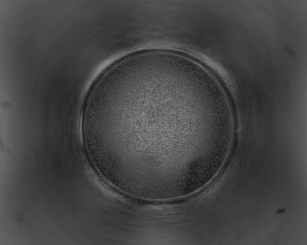 X0000090861272200708030940