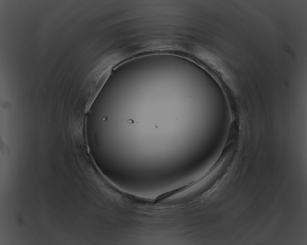 X0000090861273200708030940