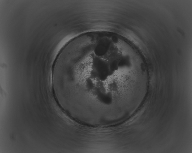 X0000090861275200708030940