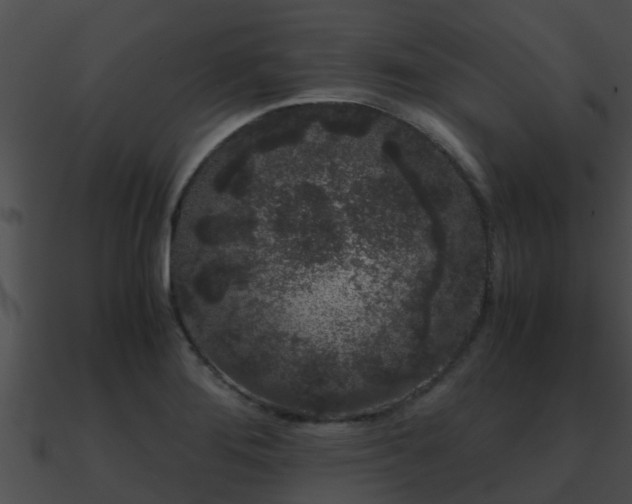 X0000090861276200708030940