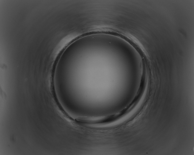 X0000090861277200708030940