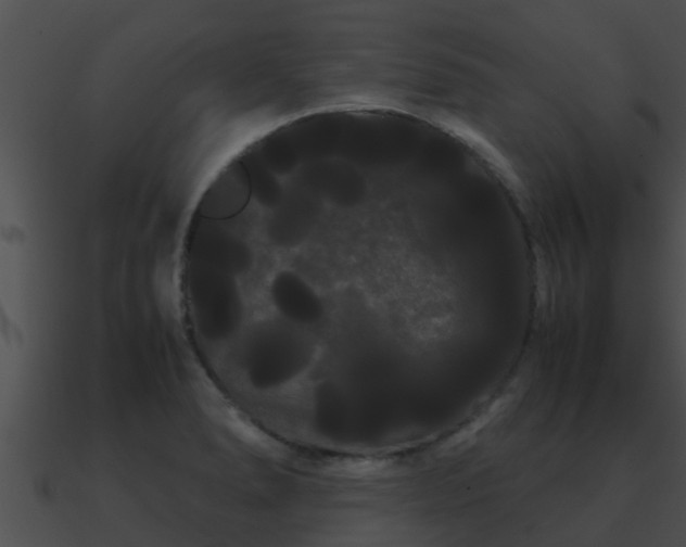 X0000090861278200708030940