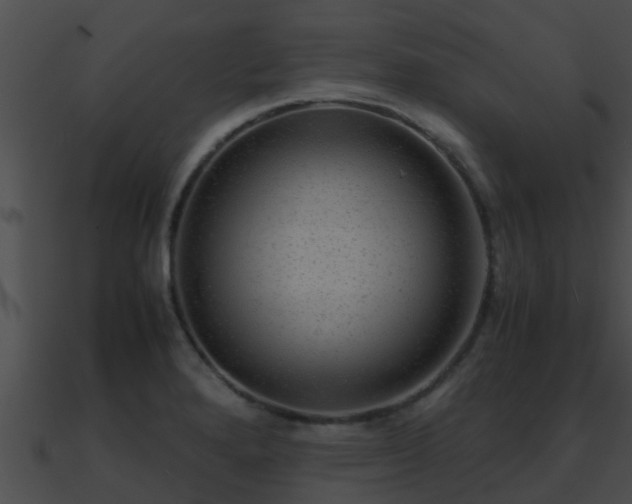 X0000090861280200708030940