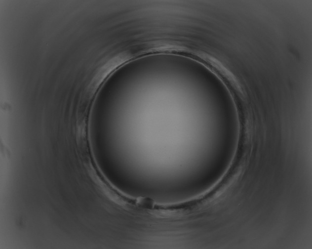 X0000090861281200708030940
