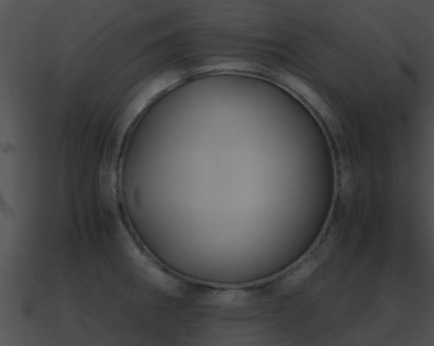 X0000090861282200708030940