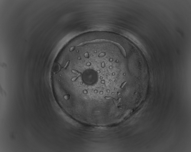 X0000090861283200708030940