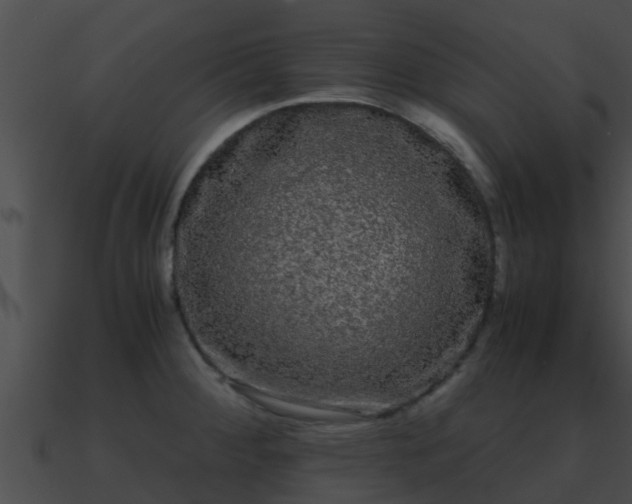 X0000090861284200708030940