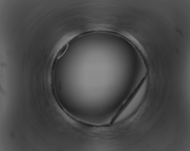X0000090861285200708030940