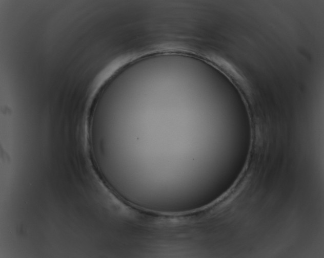 X0000090861286200708030940