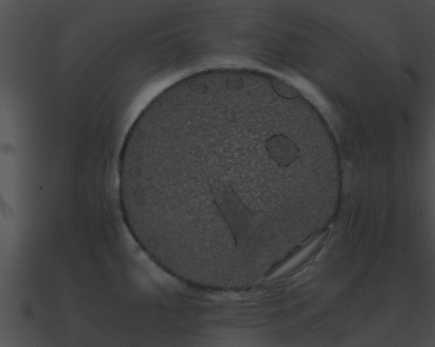 X0000090861287200708030940