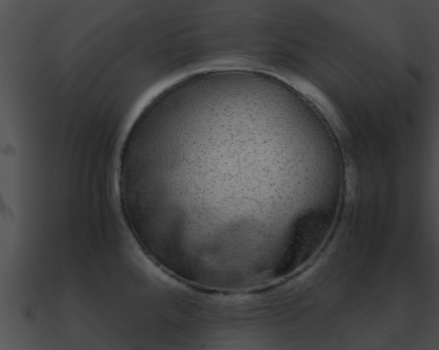 X0000090861288200708030939