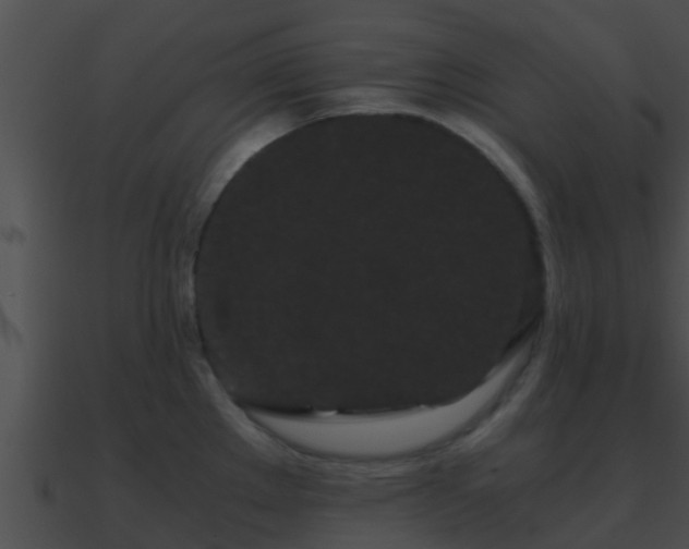 X0000090861289200708030939