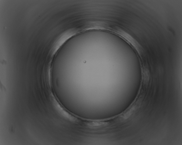 X0000090861290200708030939