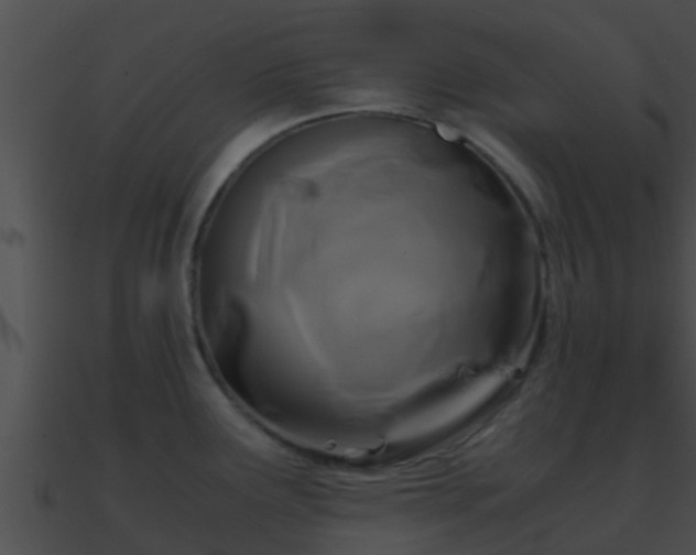 X0000090861291200708030939