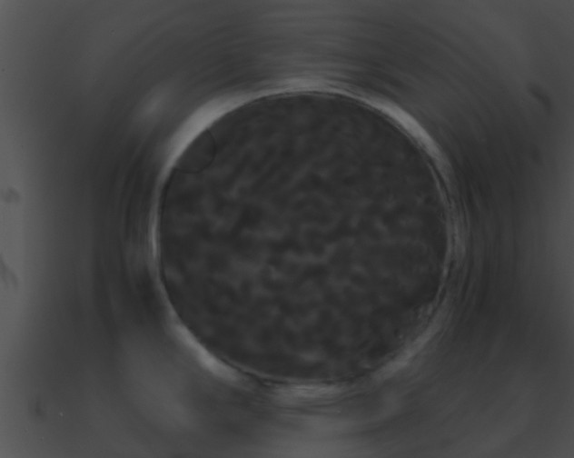 X0000090861294200708030939