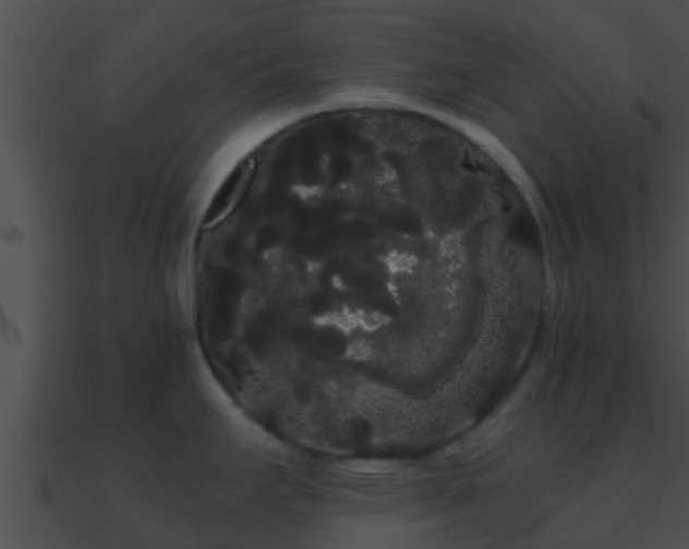 X0000090861295200708030939