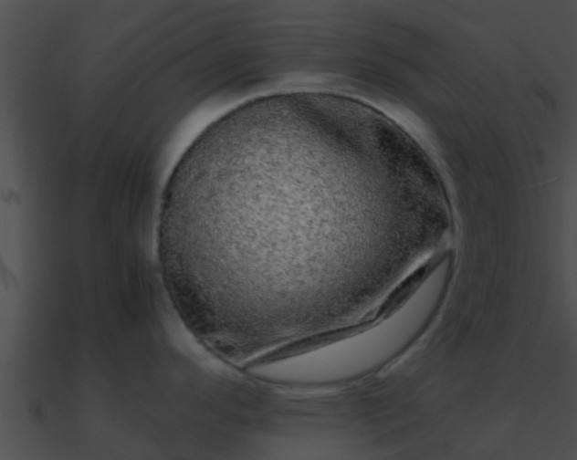 X0000090861296200708030939