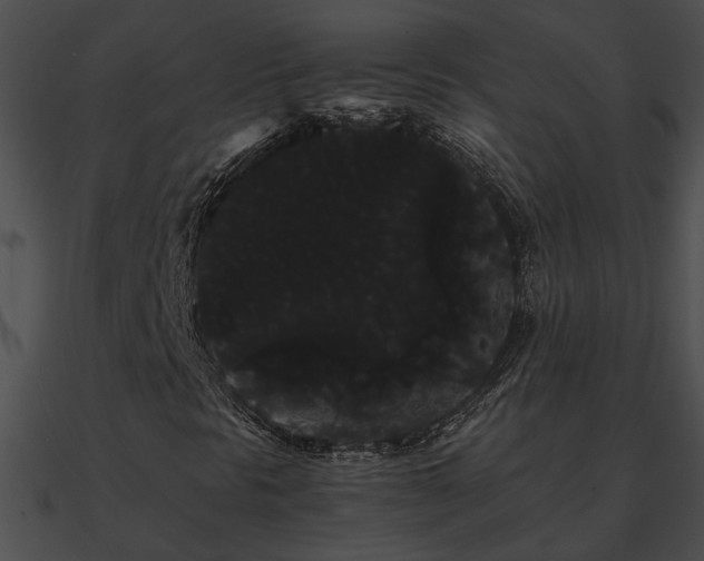 X0000090861297200708030939