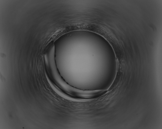 X0000090861298200708030939