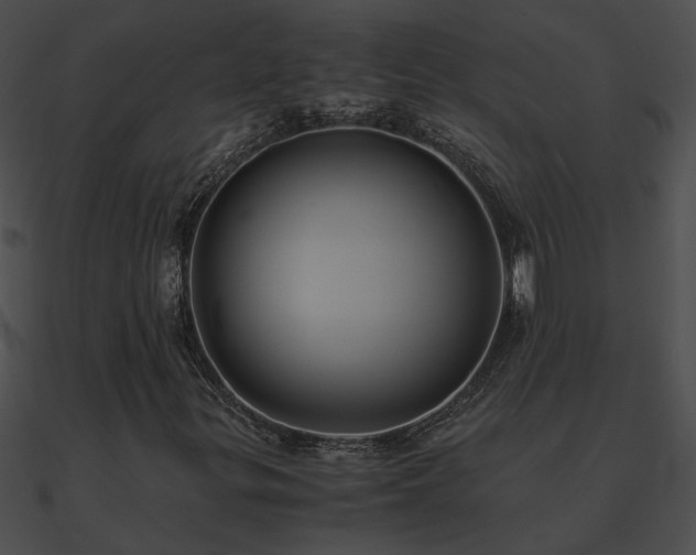 X0000090861299200708030939