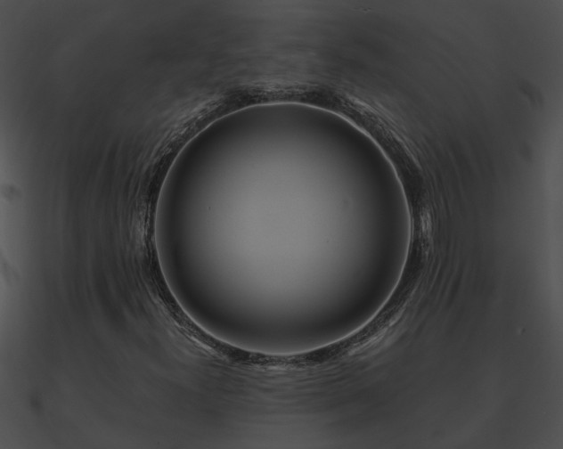 X0000090861300200708030939