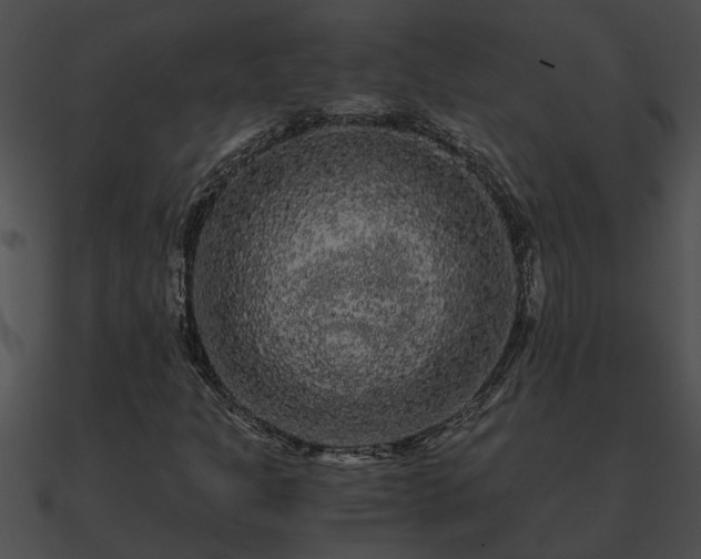 X0000090861301200708030939