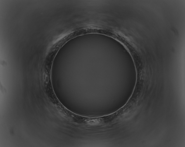 X0000090861303200708030939