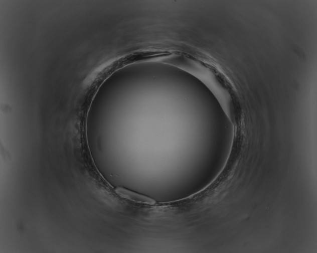 X0000090861304200708030939