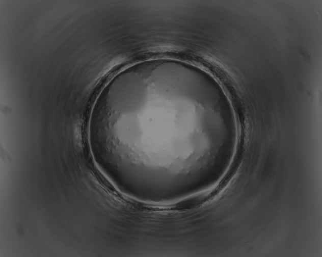 X0000090861305200708030939