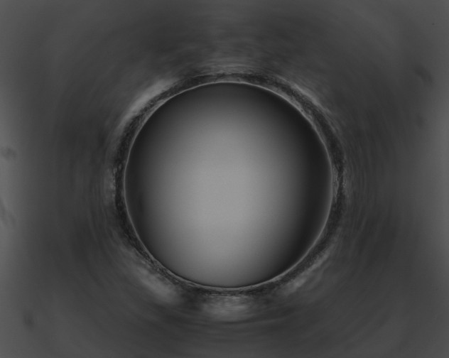 X0000090861309200708030939