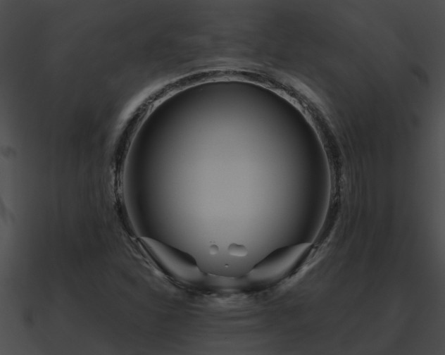 X0000090861310200708030939