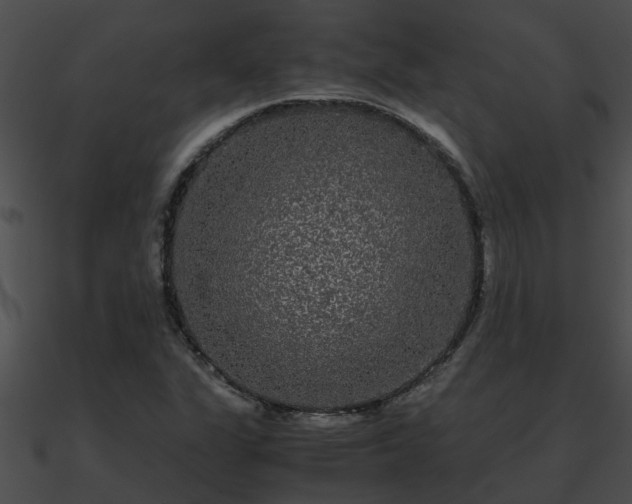 X0000090861311200708030939