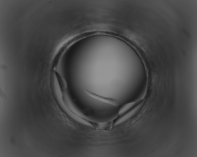 X0000090861312200708030939