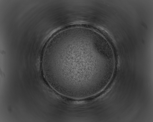X0000090861313200708030939