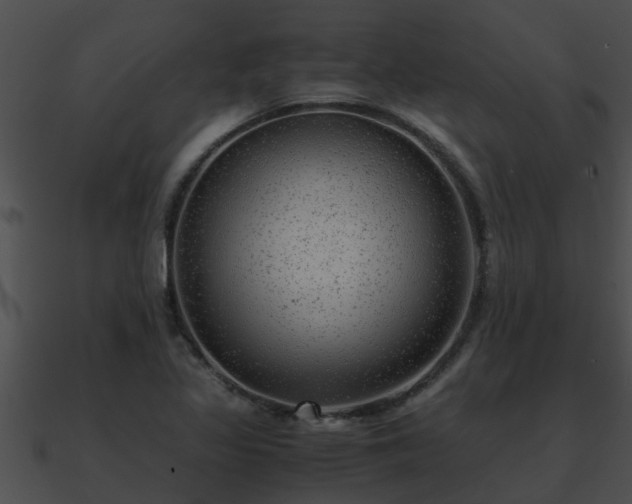 X0000090861317200708030939