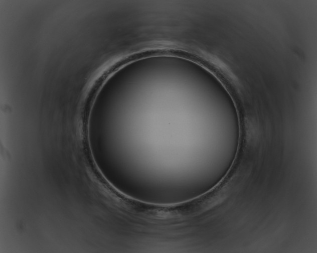 X0000090861318200708030939