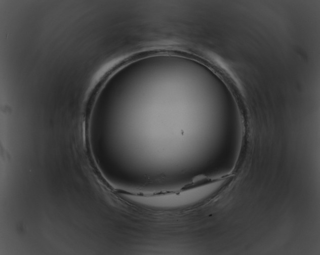 X0000090861320200708030939