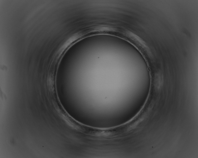 X0000090861321200708030939