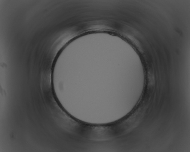 X0000090861322200708030939