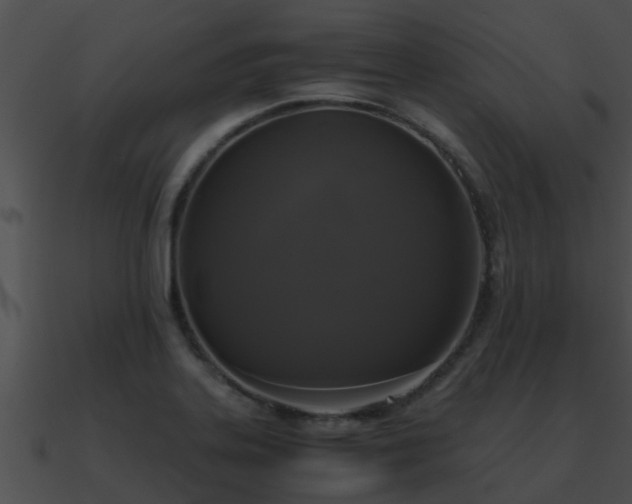 X0000090861323200708030939