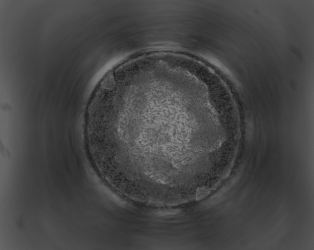 X0000090861325200708030939