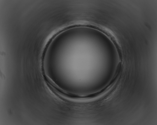X0000090861326200708030939