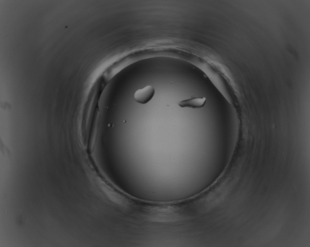 X0000090861328200708030939